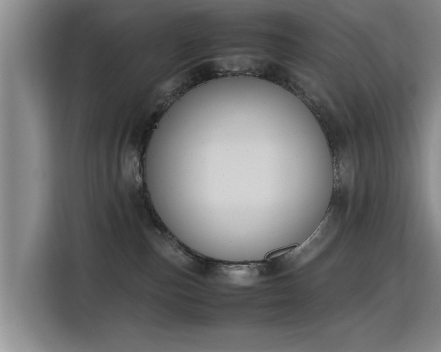 X0000115760187200911201206