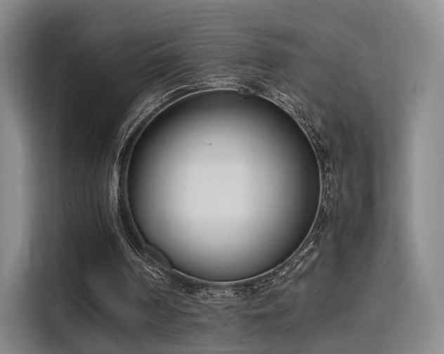X0000115760194200911201205