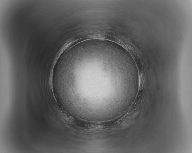 X0000115760195200911201205
