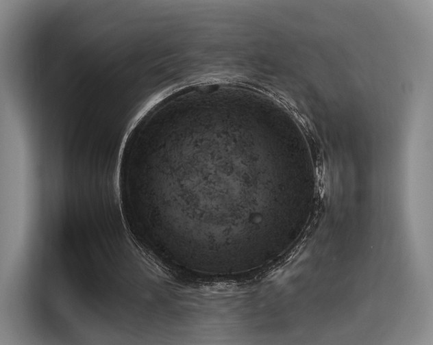 X0000115760196200911201205