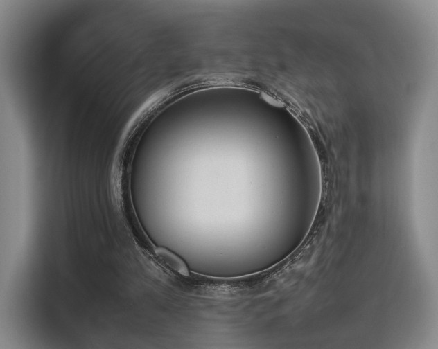 X0000115760197200911201205