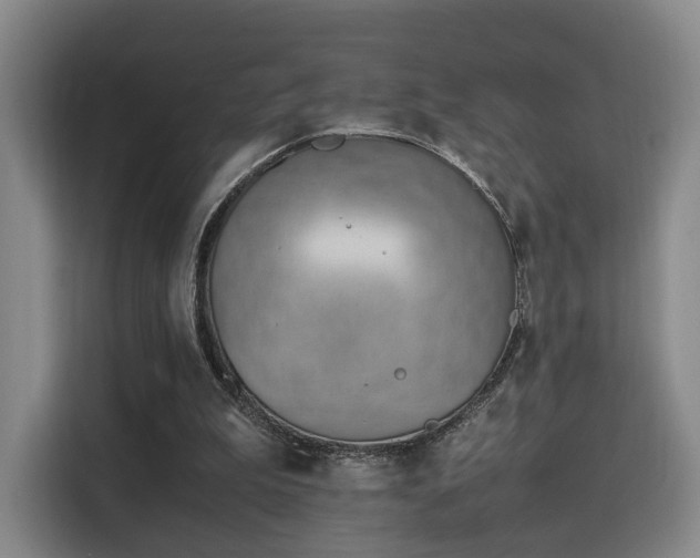 X0000115760199200911201205