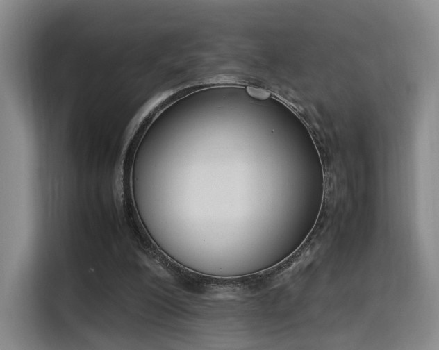 X0000115760200200911201205