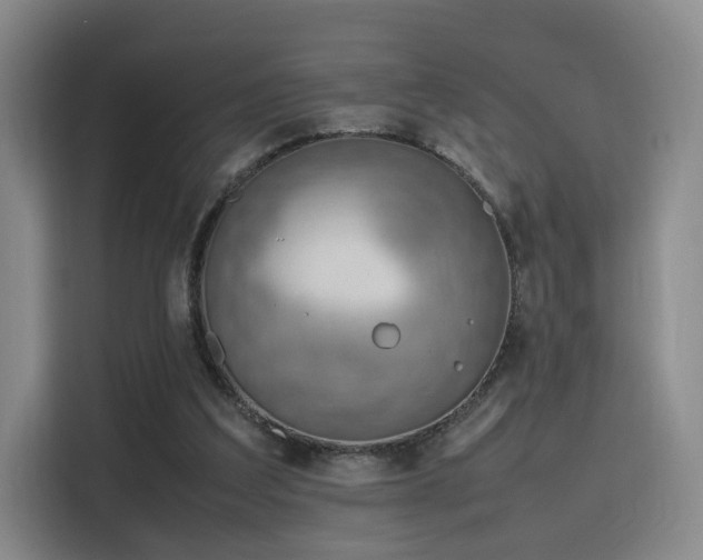 X0000115760203200911201205