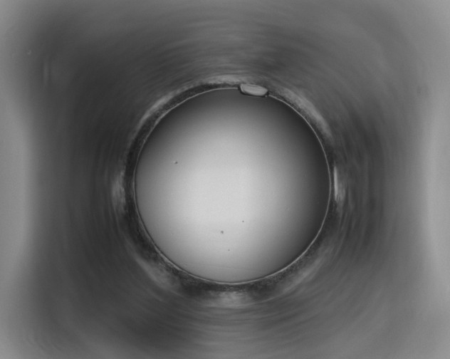 X0000115760204200911201205