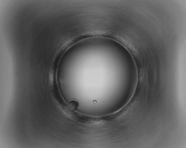 X0000115760206200911201205
