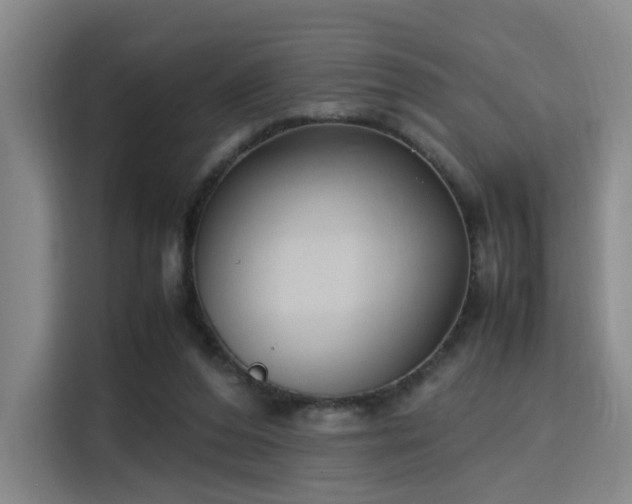 X0000115760208200911201205