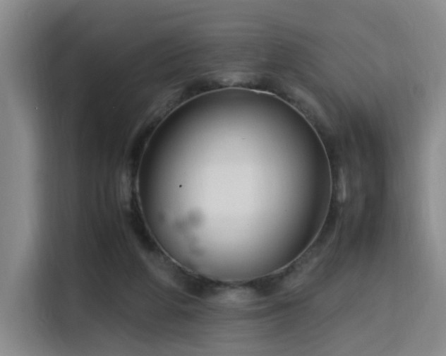 X0000115760210200911201205