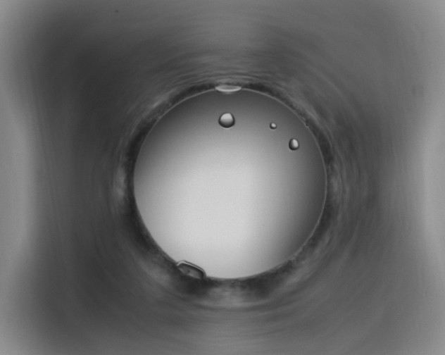 X0000115760211200911201205
