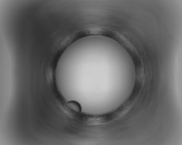 X0000115760213200911201205