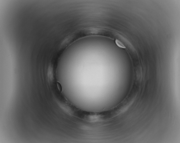 X0000115760216200911201205
