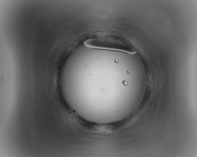 X0000115760221200911201205