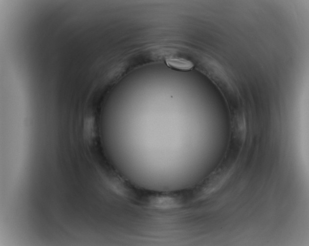 X0000115760224200911201205