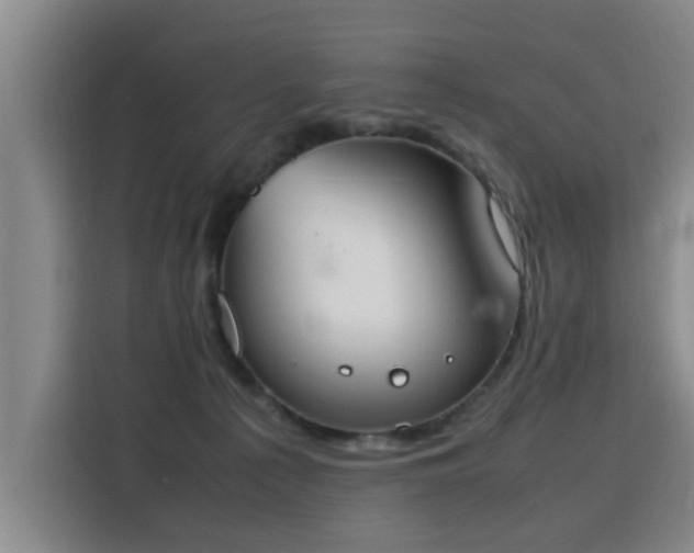 X0000115760225200911201205