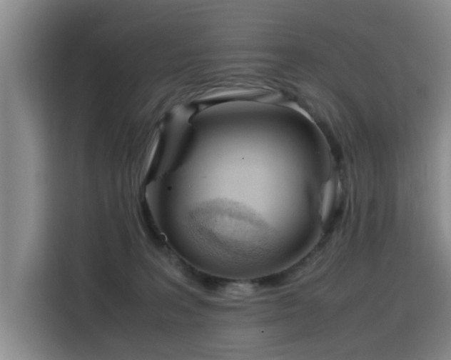 X0000115760227200911201205