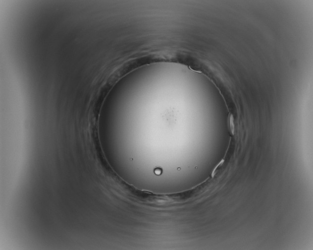 X0000115760229200911201205