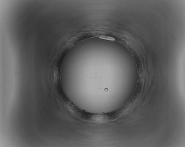 X0000115760231200911201205