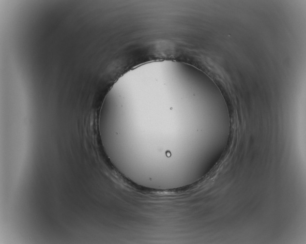 X0000115760233200911201205