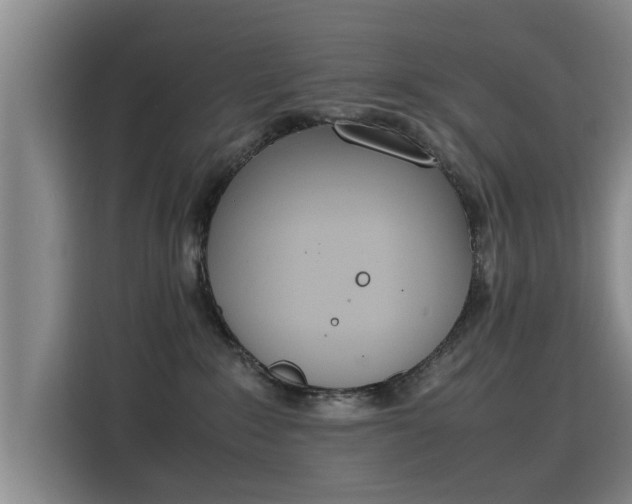 X0000115760235200911201205