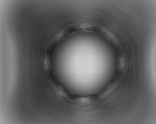 X0000115760236200911201205