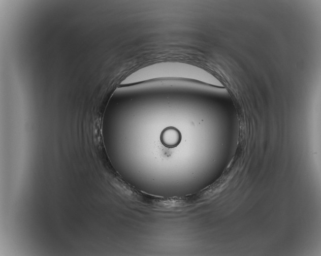 X0000115760237200911201205