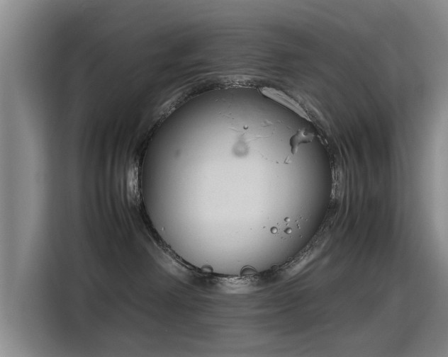 X0000115760238200911201205