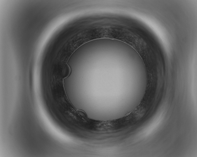 X0000115760239200911201205