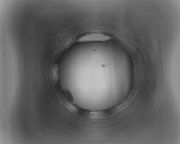 X0000115760240200911201204