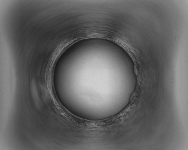X0000115760241200911201204
