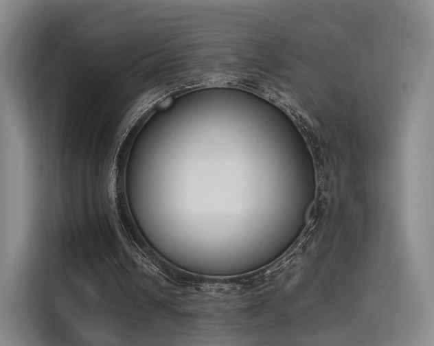 X0000115760242200911201204