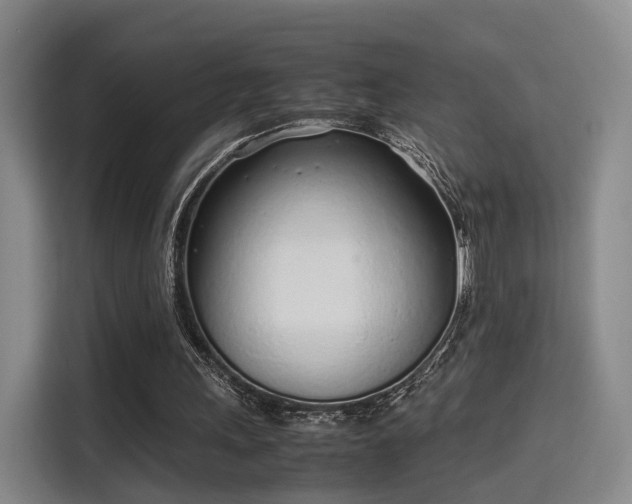 X0000115760243200911201204