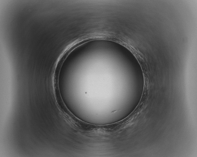 X0000115760244200911201204
