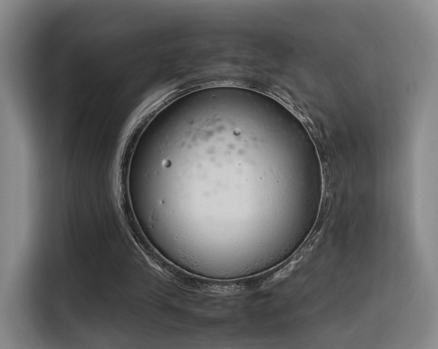 X0000115760245200911201204