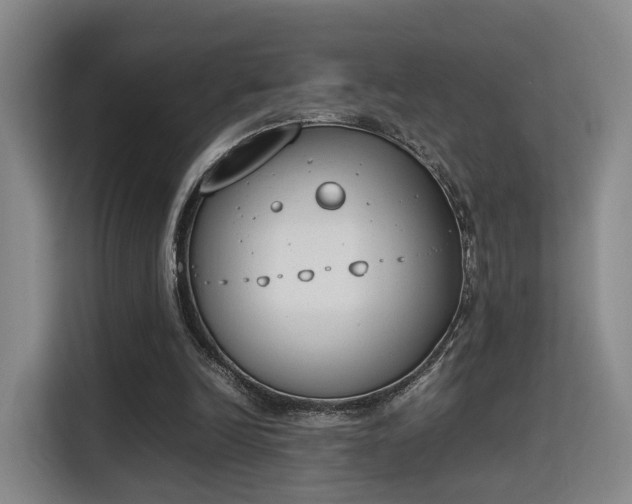 X0000115760246200911201204