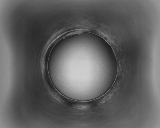X0000115760247200911201204