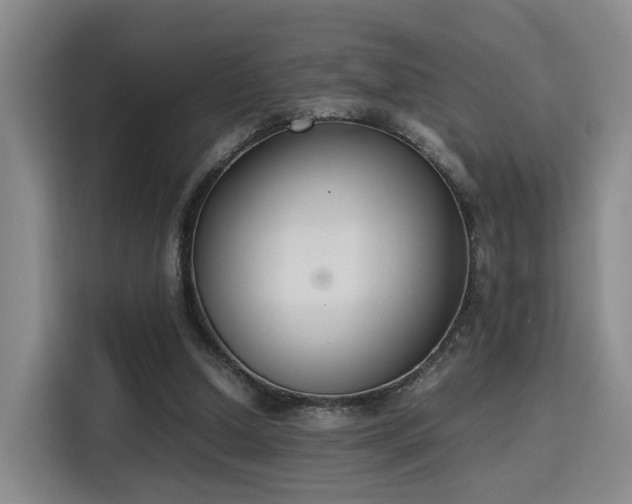 X0000115760250200911201204