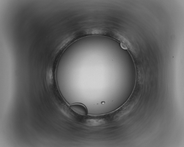 X0000115760251200911201204