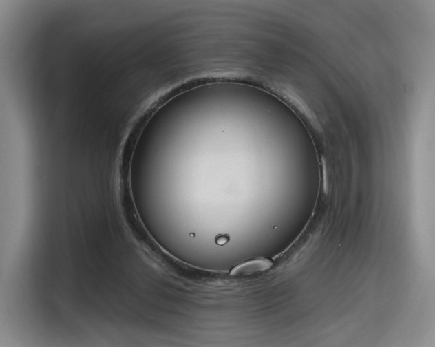 X0000115760252200911201204
