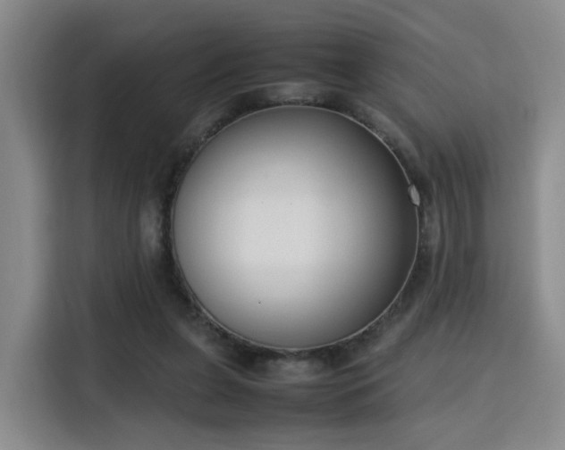 X0000115760255200911201204
