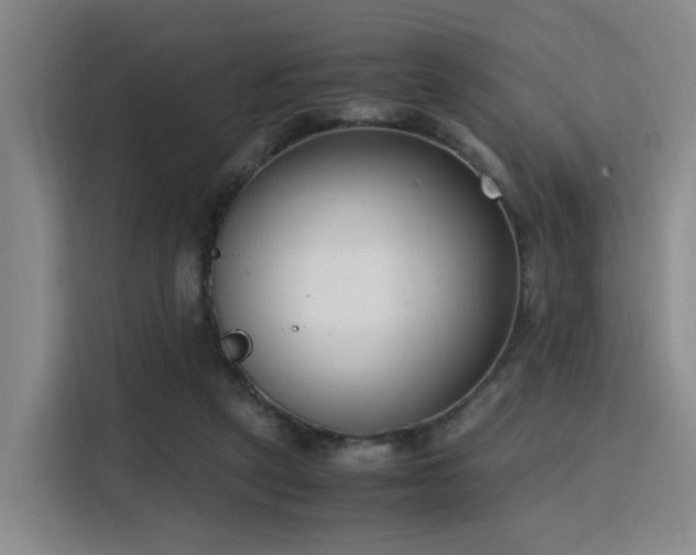X0000115760257200911201204