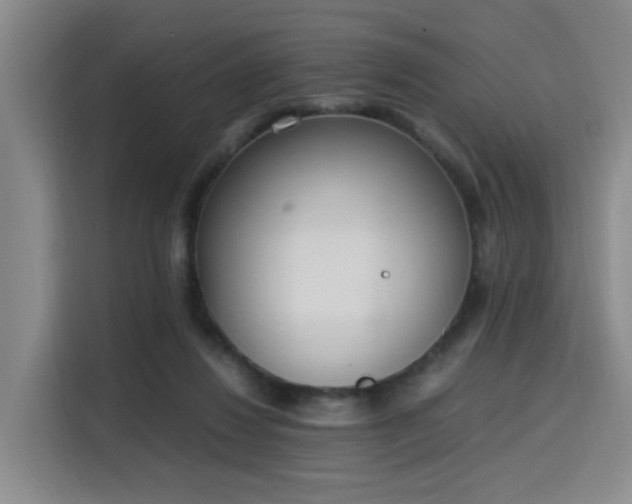 X0000115760260200911201204