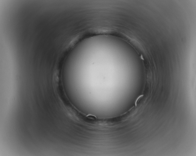 X0000115760264200911201204