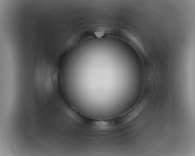 X0000115760265200911201204