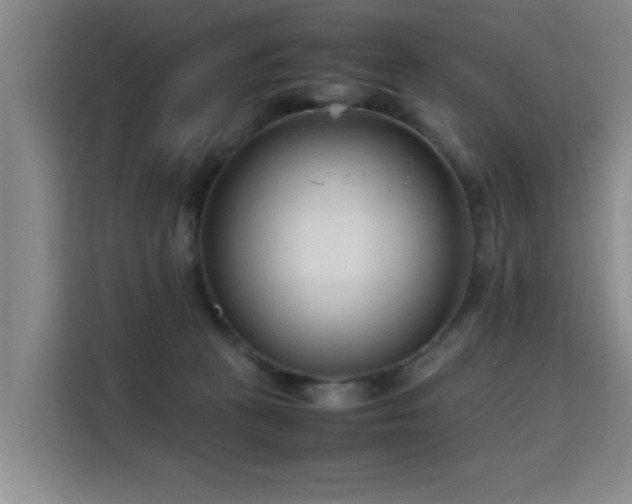 X0000115760273200911201204