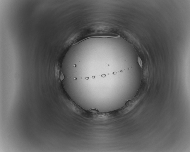 X0000115760282200911201204