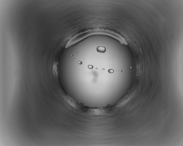 X0000115760286200911201204