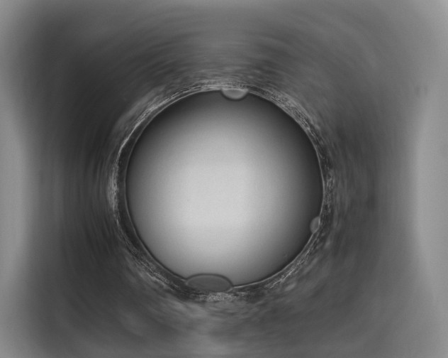 X0000115760290200911201204