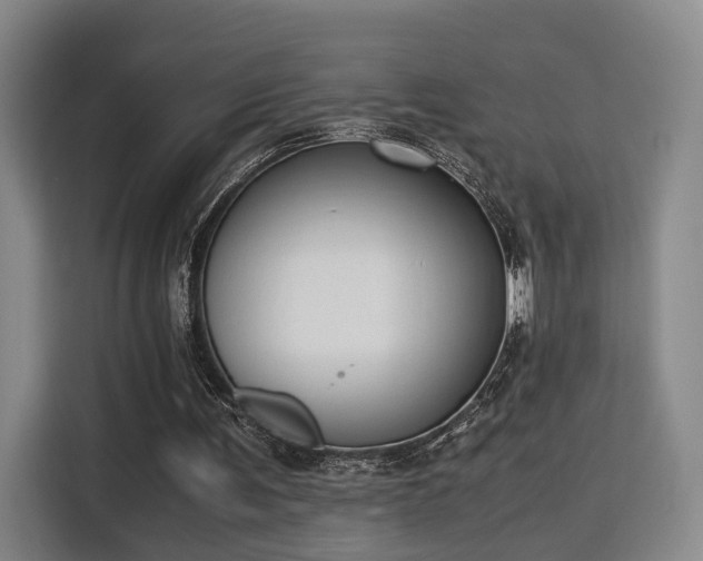 X0000115760291200911201204