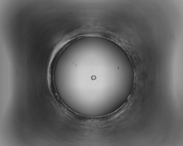 X0000115760294200911201204