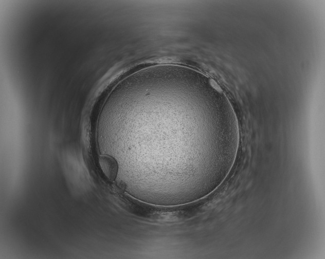 X0000115760295200911201204